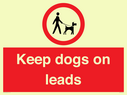 dogs-on-lead-symbol-with-black-text-on-white-background~